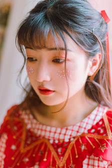 神犬小七第一季